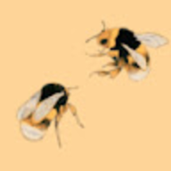 Meet your Posher, Sara - Picture 1 of 1